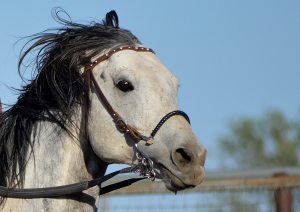 10256105_10202747564923522_7236601187467134903_o