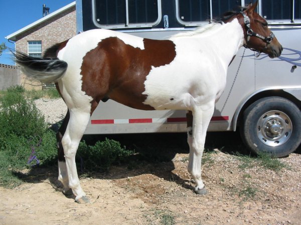 168801_496383903520_3550678_n