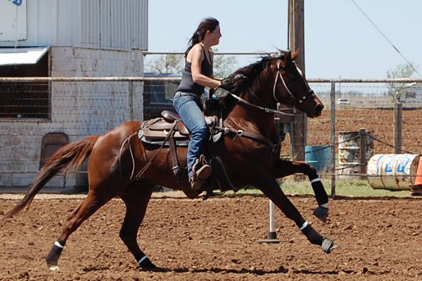 27248_10150156237495403_4459698_n