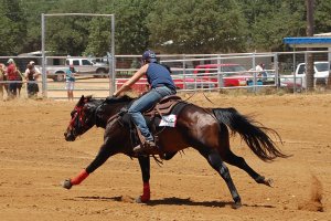 40448_10150236485040403_153674_n