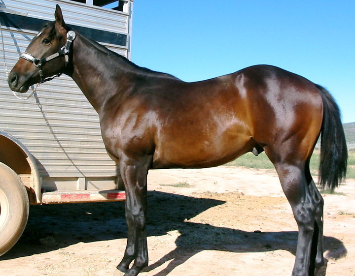 45709_436958278520_491618_n