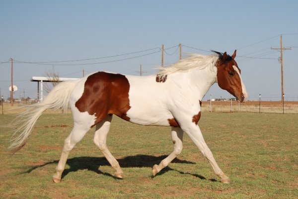 4900_103878003520_2348105_n