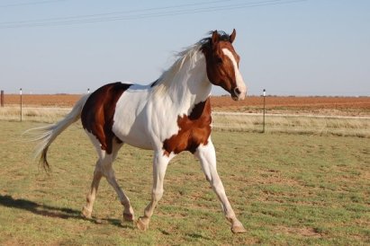 4900_103878018520_5472486_n