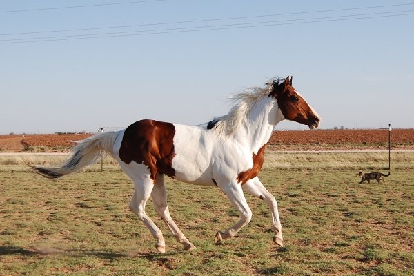 4900_103878023520_7456835_n