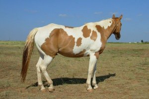 117_9832280402_9820_n