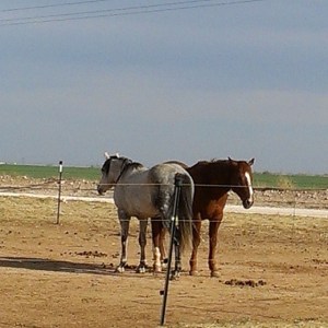 1601421_10153986200580403_8984468052054332557_n