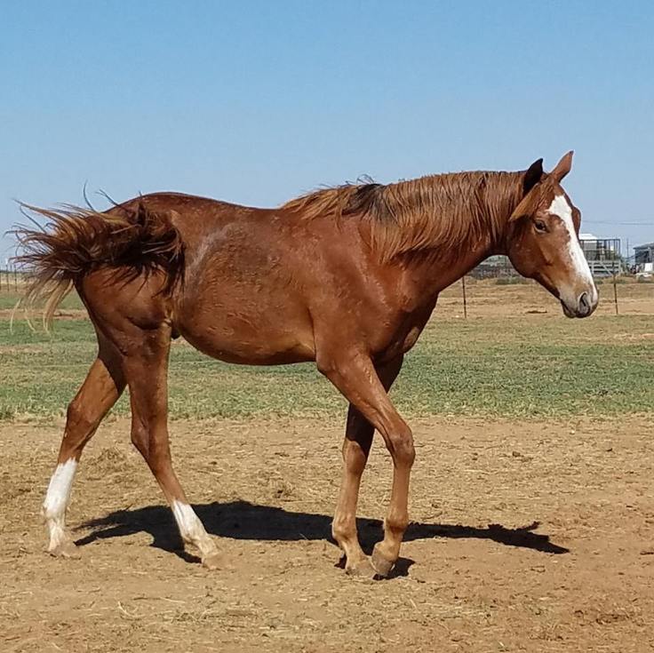 18921698_10156178972613521_8886019133696960341_n