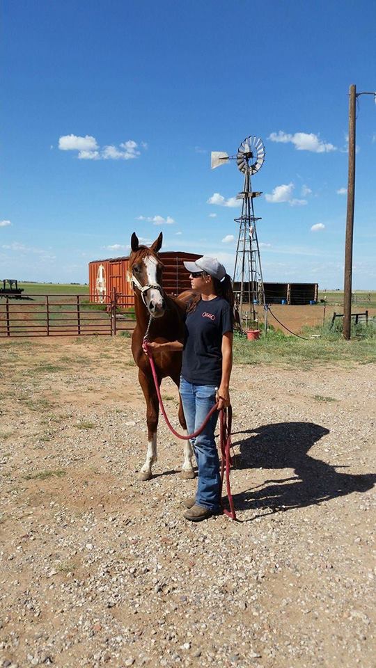 20374435_10156333888693521_4663174051786348402_n