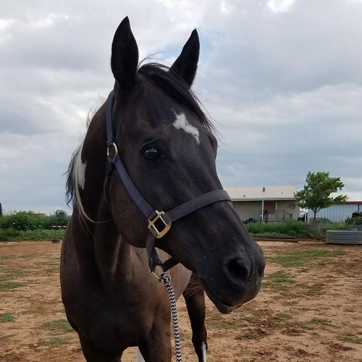 21317733_10156422837808521_4971844493156465342_n