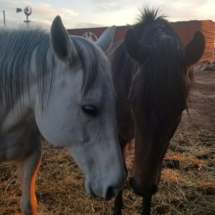 29665124_10156939203828521_4920481647561143886_o