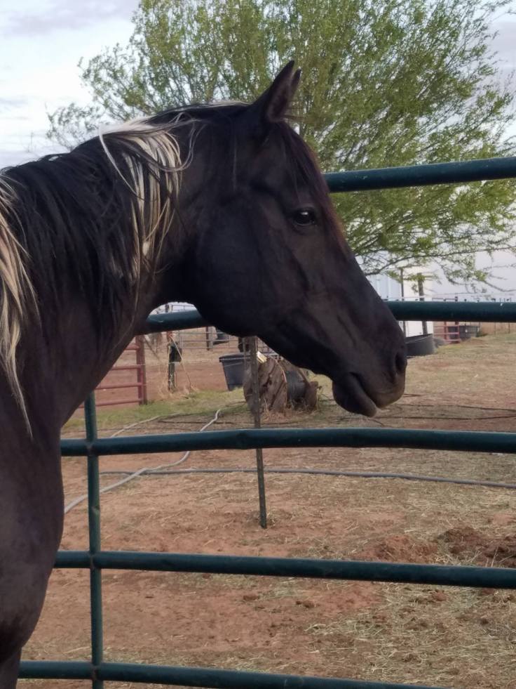 30171636_10156989617118521_3587809830601148782_o