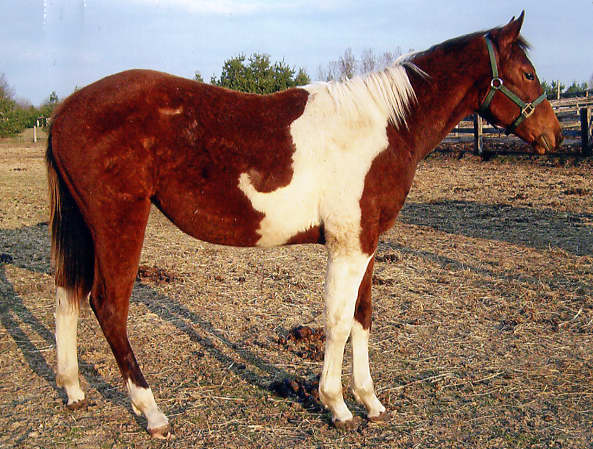 KBL Moonlit Treasure