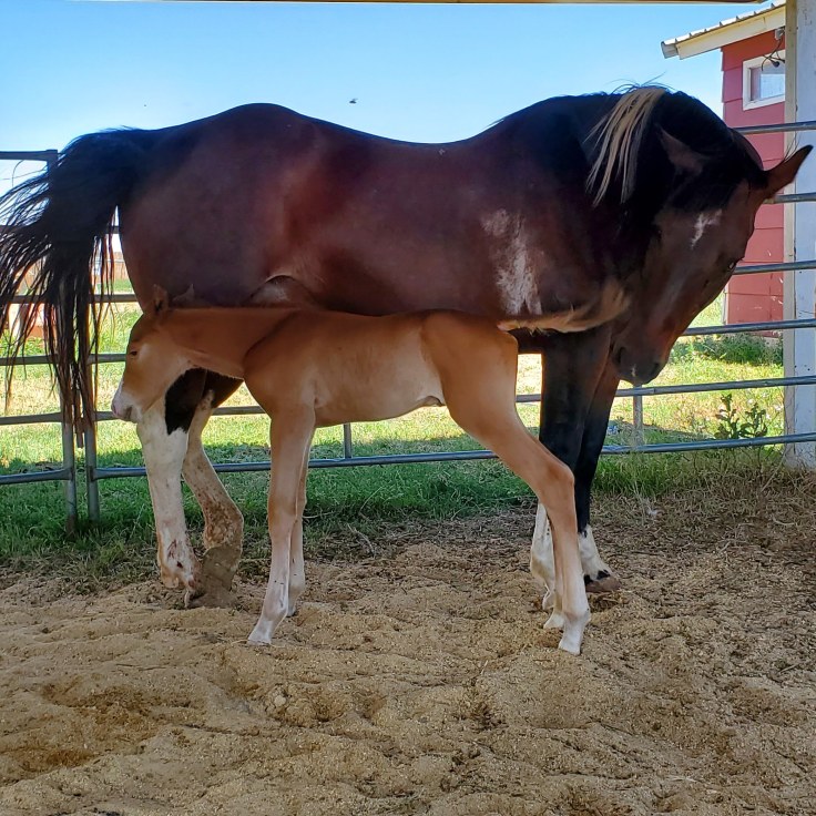 IMG_20200610_110708_084